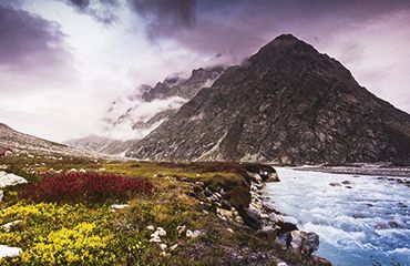 Valley of Flowers Trek