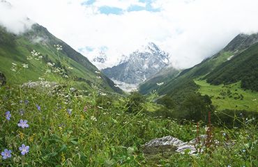 Valley of Flowers Trek